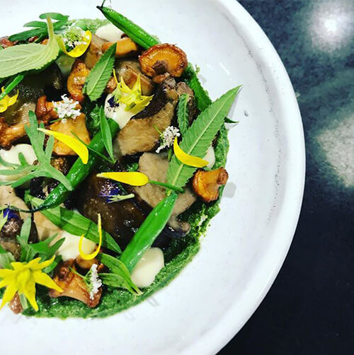 Champignons, herbes amères